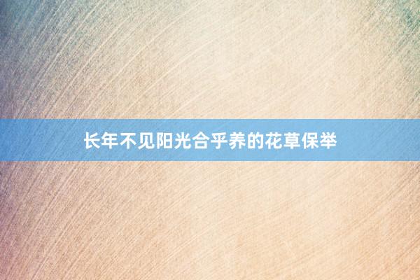 长年不见阳光合乎养的花草保举
